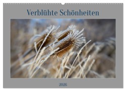 Cover-Bild zum Titel 'Verblühte Schönheiten (Wandkalender 2026 DIN A2 quer), CALVENDO Monatskalender' von 'Petra Spiess'