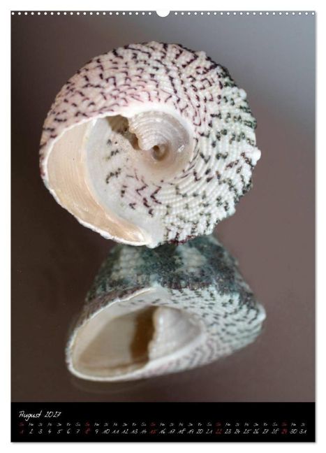 InsideView 13
