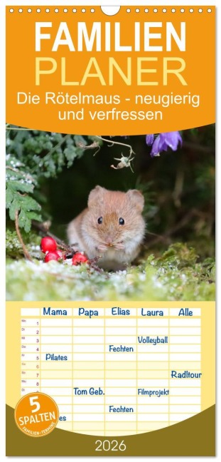 Familienplaner 2026 - Die Rötelmaus - neugierig und verfressen mit 5 Spalten (Wandkalender, 21 x 45 cm) CALVENDO - Angela Merk