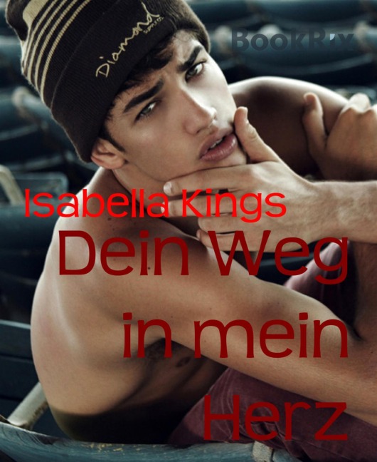 Dein Weg in mein Herz - Isabella Kings