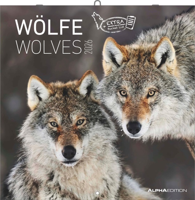 Wölfe 2026 - Broschürenkalender 30x30 cm (30x60 geöffnet) - Kalender mit Platz für Notizen - Wolves - Bildkalender - Wandplaner - Alpha Edition - 