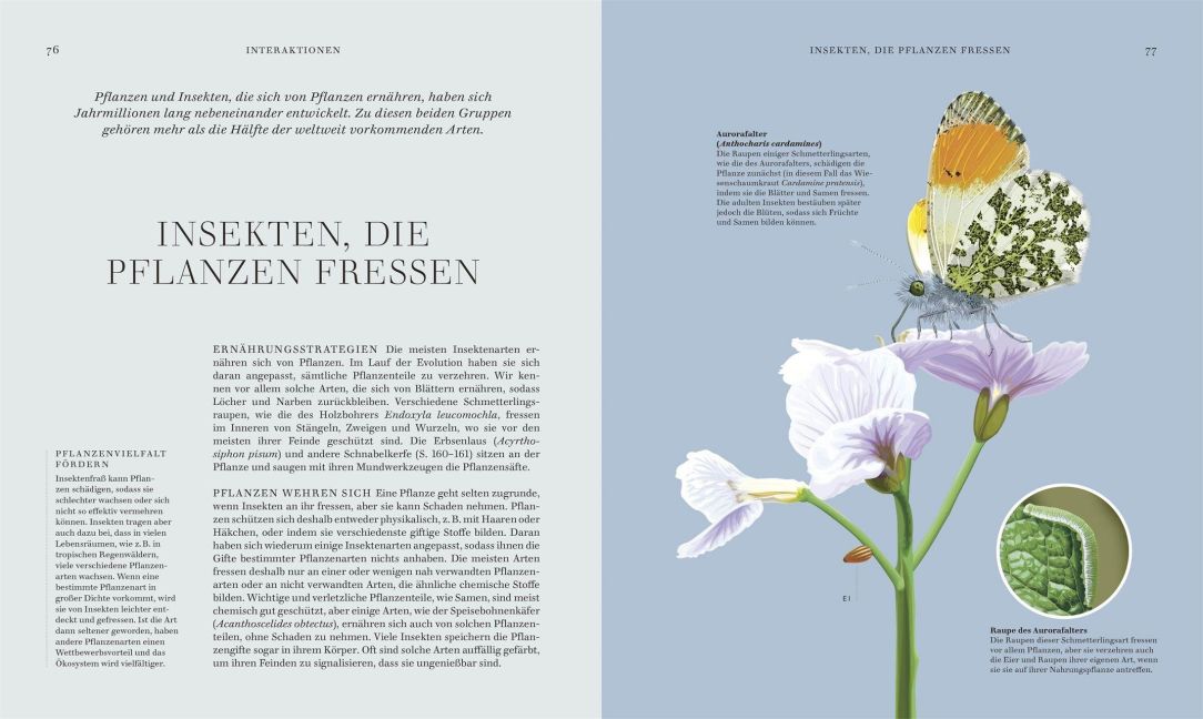 InsideView 3