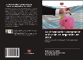 Cover-Bild zum Titel 'La réévaluation comptable et fiscale en Argentine en 2019' von 'Emiliano Alcalde, Ceverino Gonzalo Ariel, Facundo Fontez'