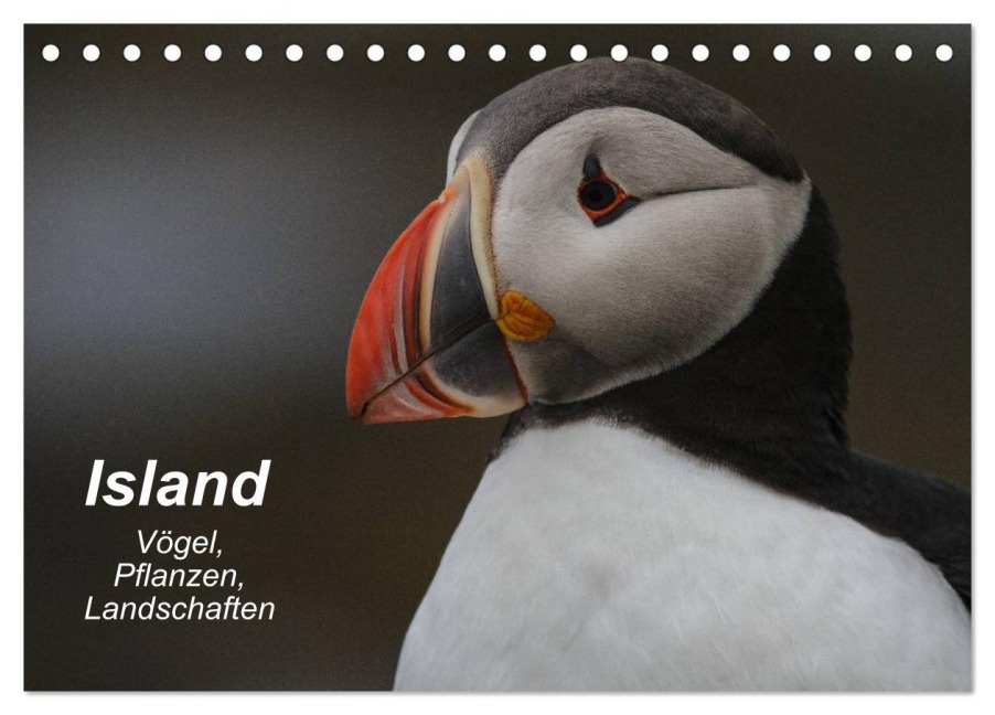 Island: Vögel, Pflanzen, Landschaften (Tischkalender 2025 DIN A5 quer), CALVENDO Monatskalender - Leon Uppena