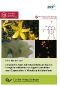 Untersuchungen zur Charakterisierung von Prenyltransferasen aus Hypericum-Arten nach Expression in Nicotiana benthamiana - 