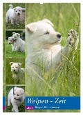 Welpen Zeit - Berger Blanc Suisse (Wandkalender 2025 DIN A2 hoch), CALVENDO Monatskalender - Tanja Riedel