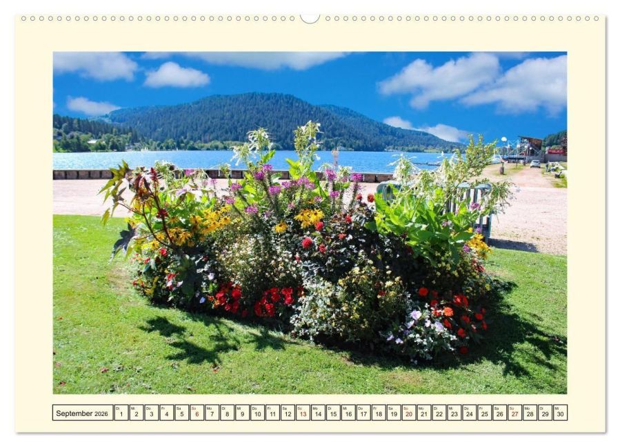 InsideView 14