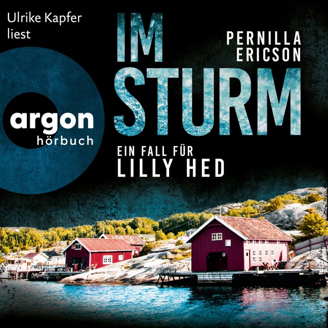 Im Sturm - Ein Fall für Lilly Hed. Der mitreißende Bestseller aus Schweden - Pernilla Ericson