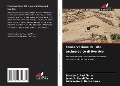 Cover-Bild zum Titel 'Conservazione del sito archeologico di Uyo Uyo' von 'Rómulo E. Pari Flores, Janet R. Casali Turpo, Aleixandre B. Duche Pérez'
