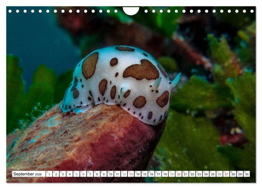 InsideView 14