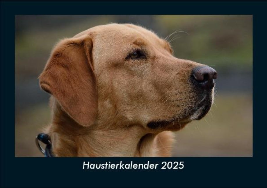 Haustierkalender 2025 Fotokalender DIN A5 - Tobias Becker