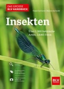 Cover-Bild zum Titel 'Das große BLV Handbuch Insekten' von 'Marina Gerhardt, Ewald Gerhardt'