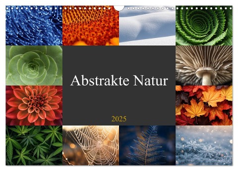 Abstrakte Natur (Wandkalender 2025 DIN A3 quer), CALVENDO Monatskalender - Susan Michel