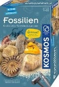 Fossilien - 