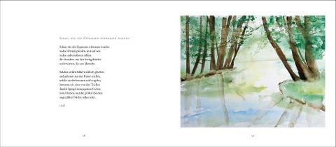 InsideView 5