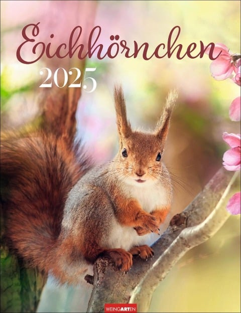 Eichhörnchen Kalender 2025 - 