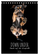 Cover-Bild zum Titel 'Down Under - Hunde auf der Glasplatte (Tischkalender 2026 DIN A5 hoch), CALVENDO Monatskalender' von 'Silke Gareis'
