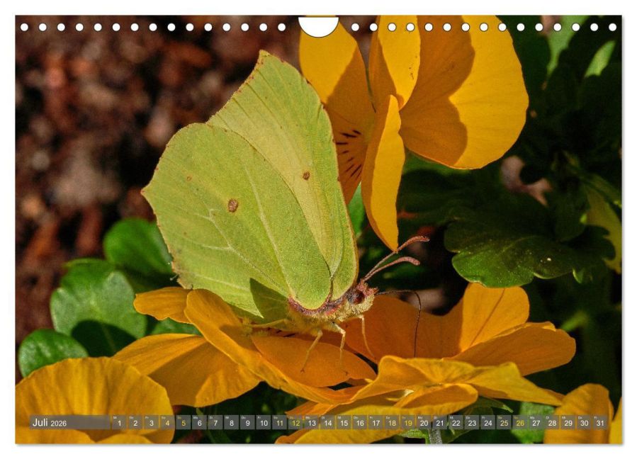 InsideView 12