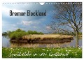 Bremer Blockland - Landleben in der Großstadt (Wandkalender 2024 DIN A4 quer), CALVENDO Monatskalender - Lucy M. Laube
