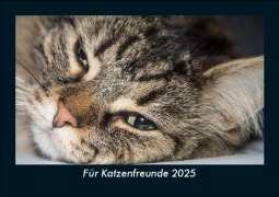 Cover-Bild zum Titel 'Für Katzenfreunde 2025 Fotokalender DIN A5' von 'Tobias Becker'