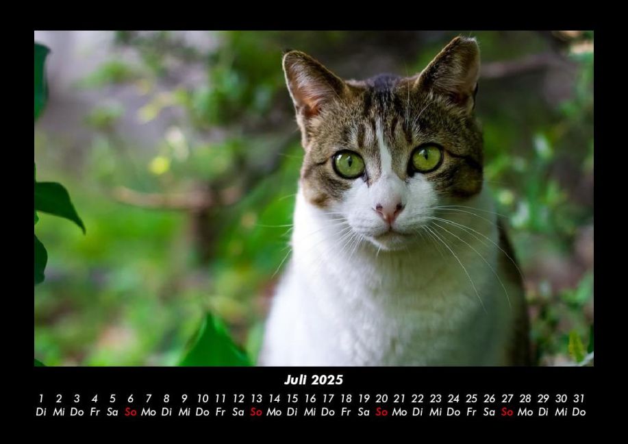 InsideView 11