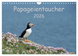 Cover-Bild zum Titel 'Papageientaucher 2026 (Wandkalender 2026 DIN A4 quer), CALVENDO Monatskalender' von 'Stefan Leimer'
