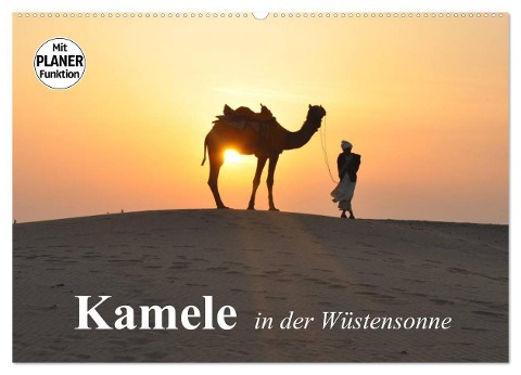 Kamele in der Wüstensonne (Wandkalender 2024 DIN A2 quer), CALVENDO Monatskalender - Elisabeth Stanzer