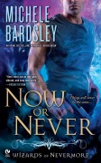 Cover-Bild zum Titel 'Now or Never' von 'Michele Bardsley'