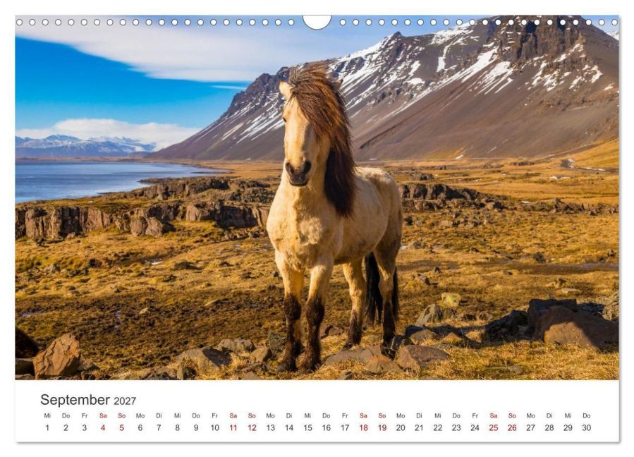 InsideView 14