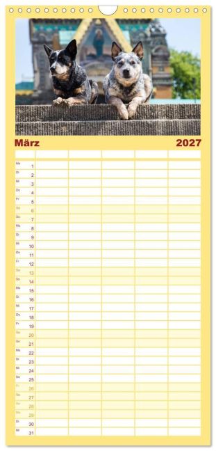 InsideView 7