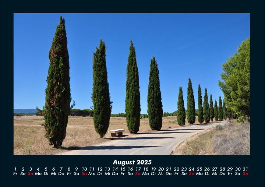 InsideView 12