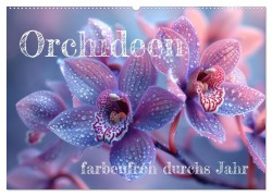 Cover-Bild zum Titel 'Orchideen - farbenfroh durchs Jahr (Wandkalender 2026 DIN A2 quer), CALVENDO Monatskalender' von 'Tina Grohs'