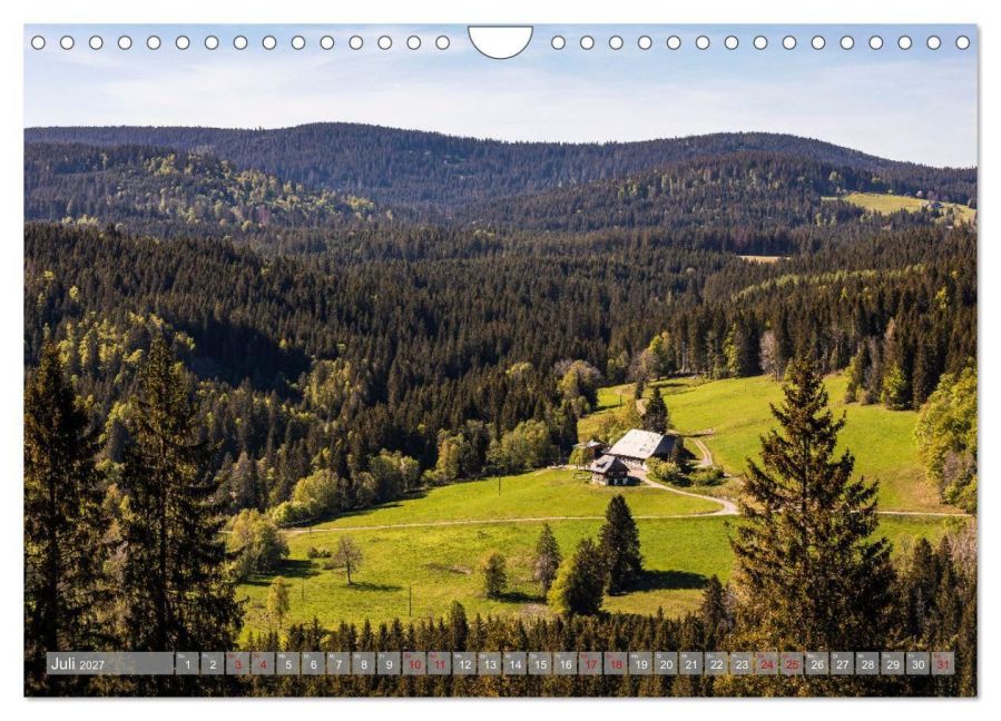 InsideView 12
