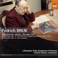 Cover-Bild zum Titel 'Orchestermusik,Vol. 5' von 'Imants/Lithuanian State Symphony Orchestra Resnis'