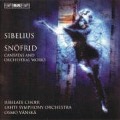 Cover-Bild zum Titel 'Snöfrid' von 'Osmo/Lahti Symphony Orchestra Vänskä'