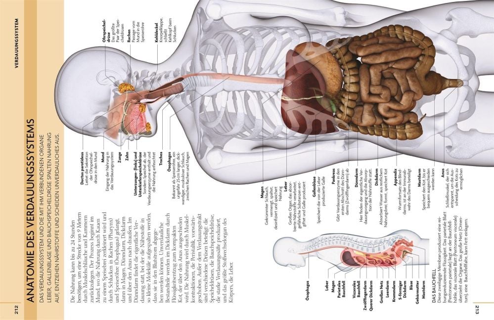 InsideView 7