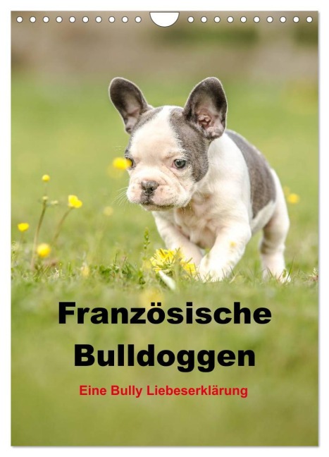 Französische Bulldoggen - Eine Bully Liebeserkärung (Wandkalender 2026 DIN A4 hoch), CALVENDO Monatskalender - Yvonne Obermüller