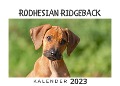 Rodhesian Ridgeback - Bibi Hübsch