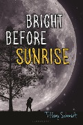 Cover-Bild zum Titel 'Bright Before Sunrise' von 'Tiffany Schmidt'