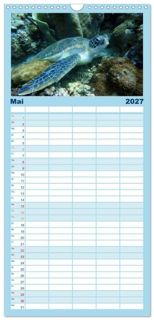 InsideView 10
