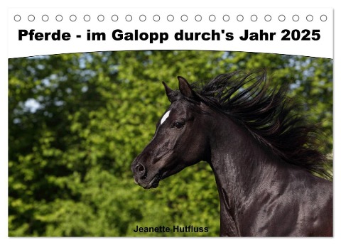 Pferde - im Galopp durch's Jahr 2025 (Tischkalender 2025 DIN A5 quer), CALVENDO Monatskalender - Jeanette Hutfluss