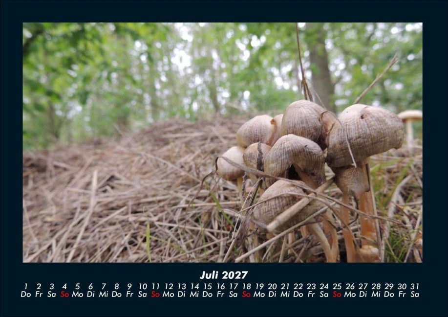 InsideView 11