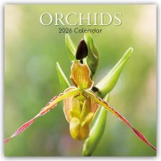 Orchids - Orchideen 2026 - 16-Monatskalender - Gifted Stationery Co. Ltd