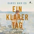 Ein klarer Tag - Carys Davies