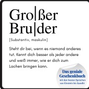 Cover-Bild zum Titel 'Großer Bruder' von 'Steffi Meier'
