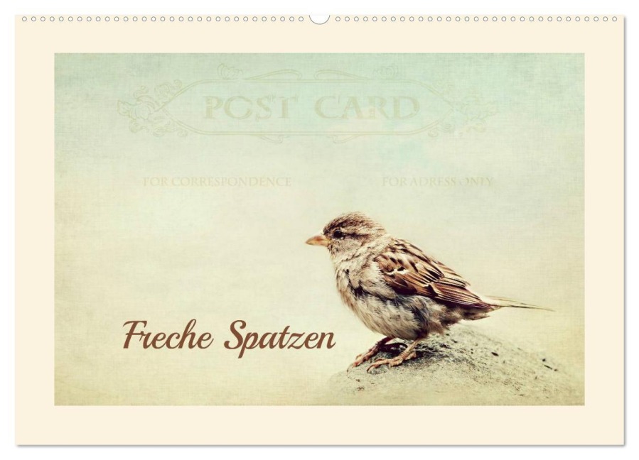 Freche Spatzen (Wandkalender 2025 DIN A2 quer), CALVENDO Monatskalender - Heike Hultsch