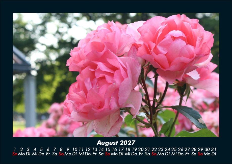 InsideView 12