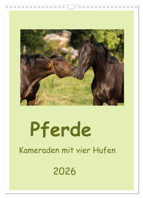 Pferde - Kameraden mit vier Hufen (Wandkalender 2026 DIN A3 hoch), CALVENDO Monatskalender - Elke Laage