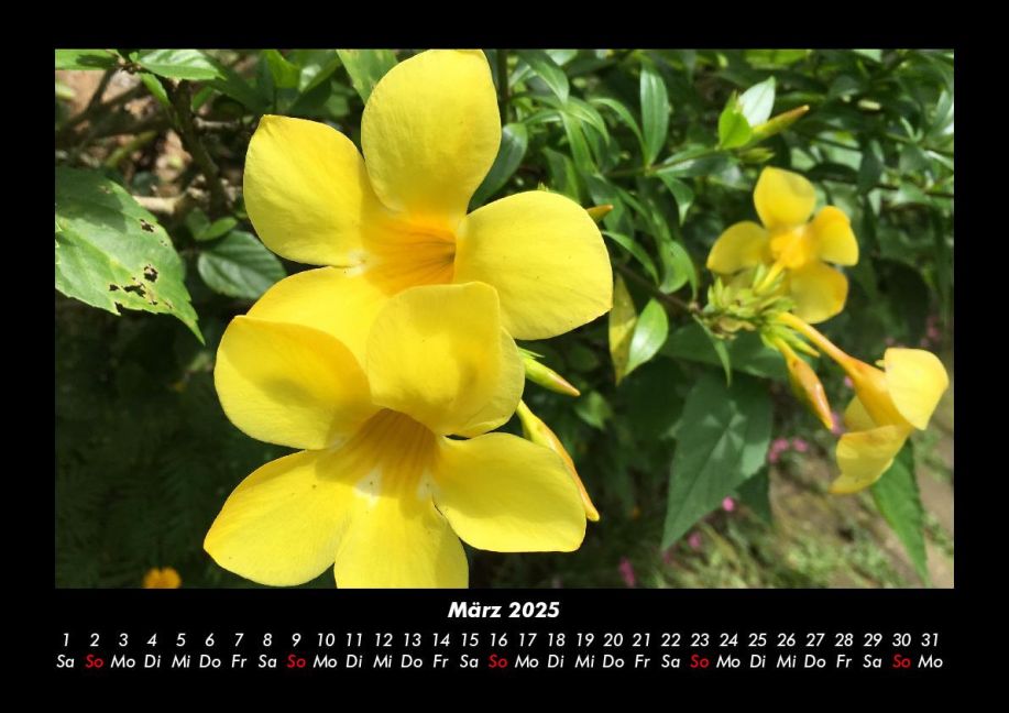 InsideView 7