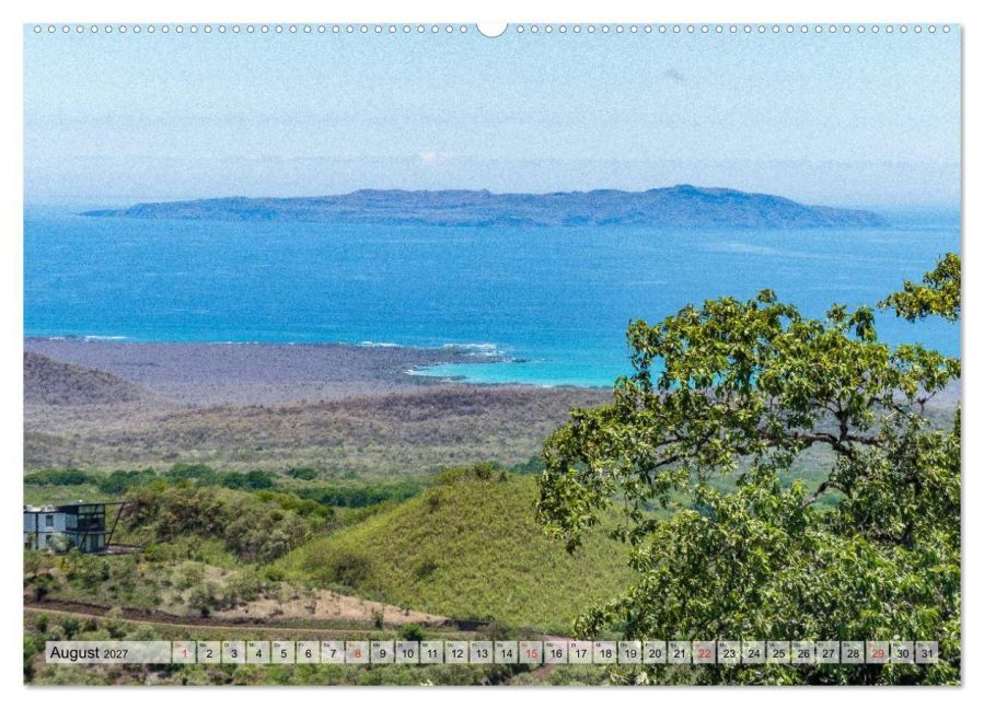 InsideView 13